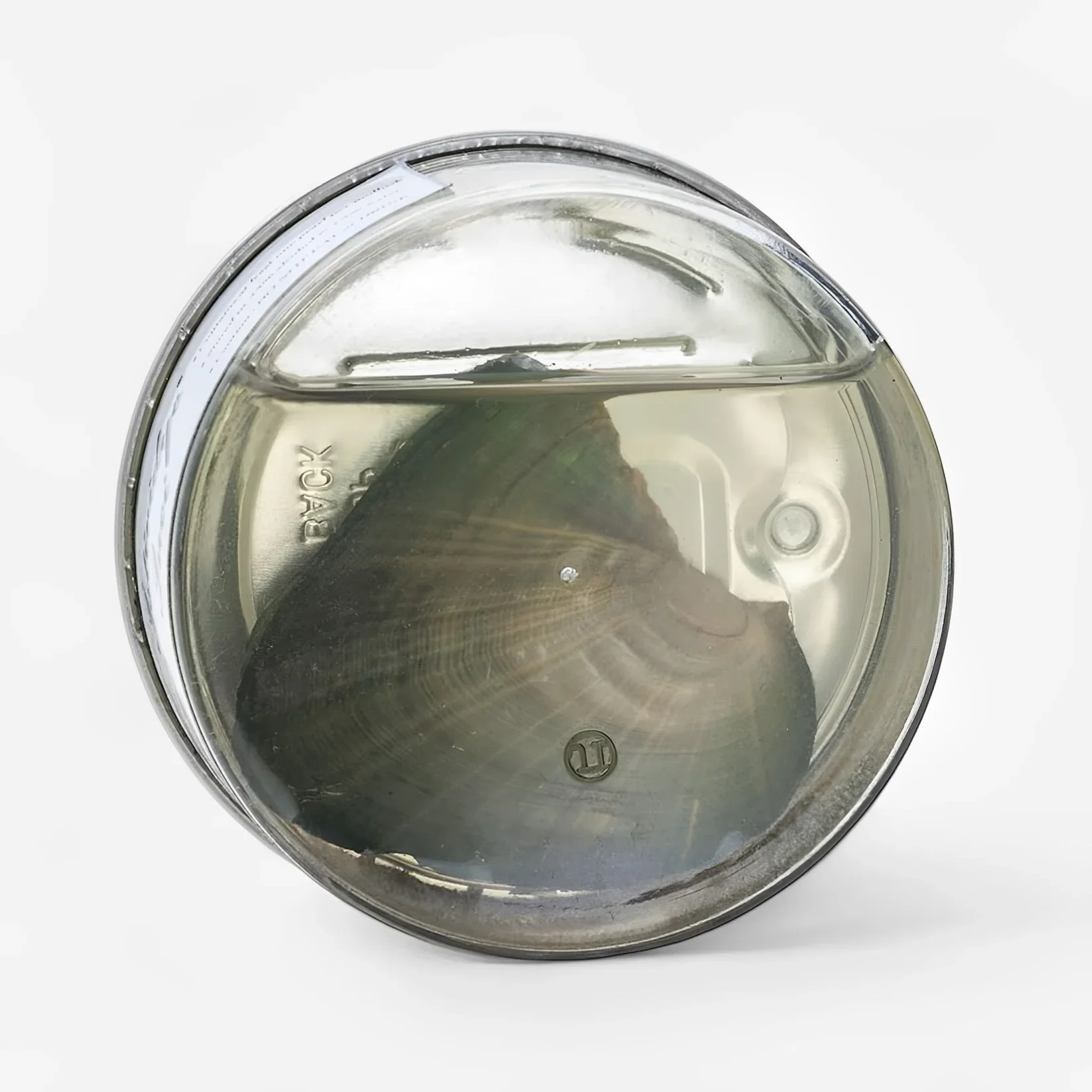 Opearl Necklace - Image 5